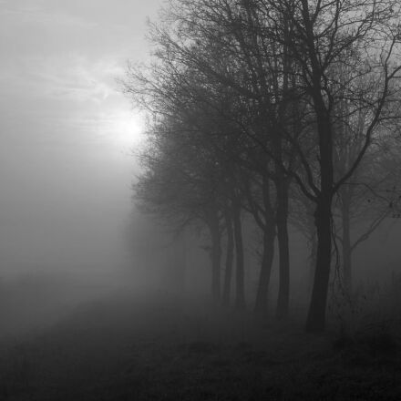 Aga Ambience
