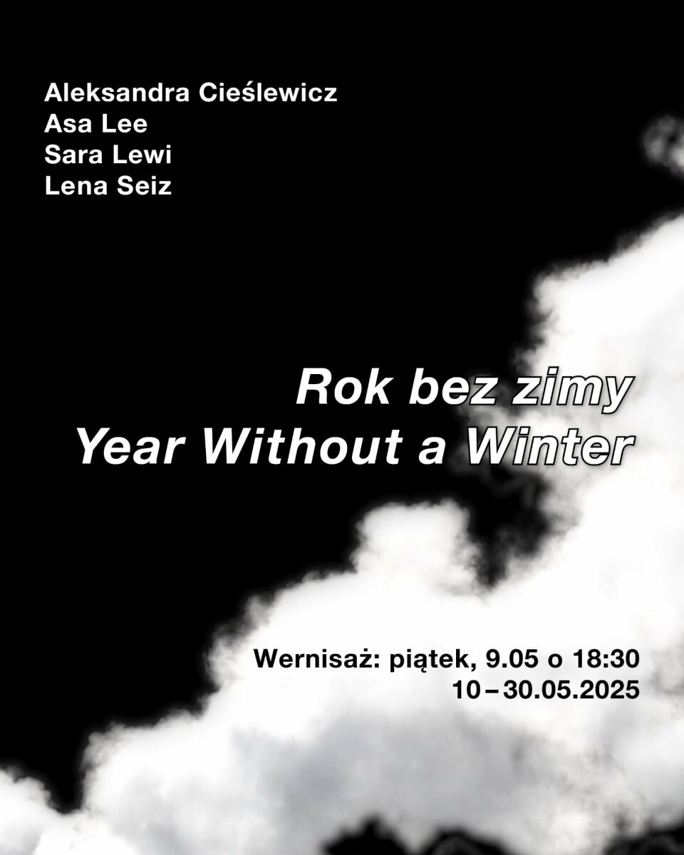 Rok bez zimy | Aleksandra Cieślewicz, Asa Lee, Sara Lewi, Lena Seiz