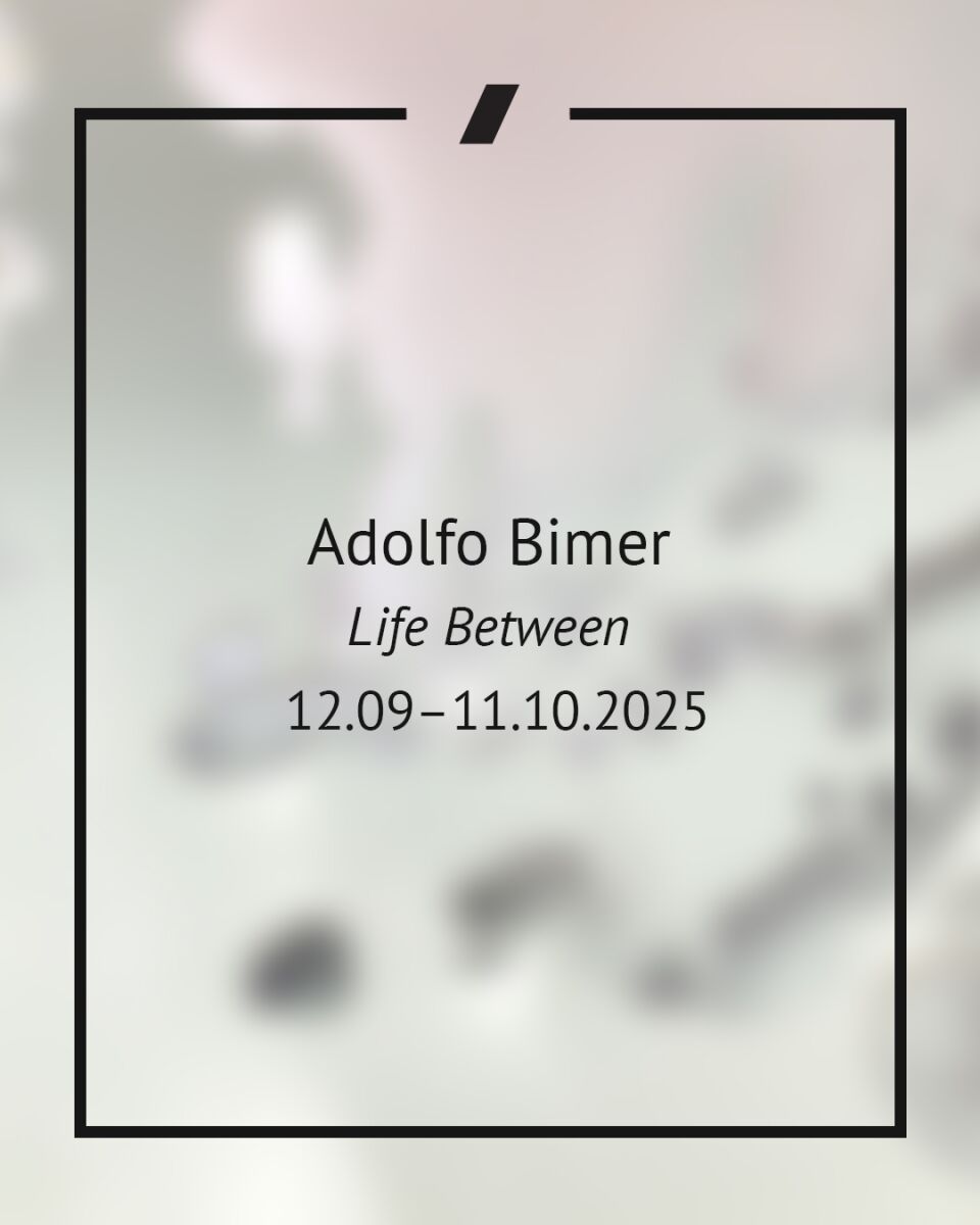 ADOLFO BIMER | Life Between