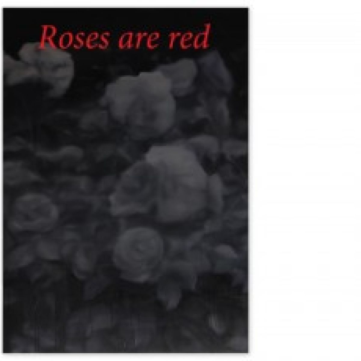 Anna Gubernat, Roses are red