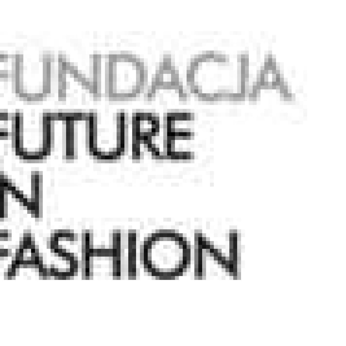Future in Fashion Fundation