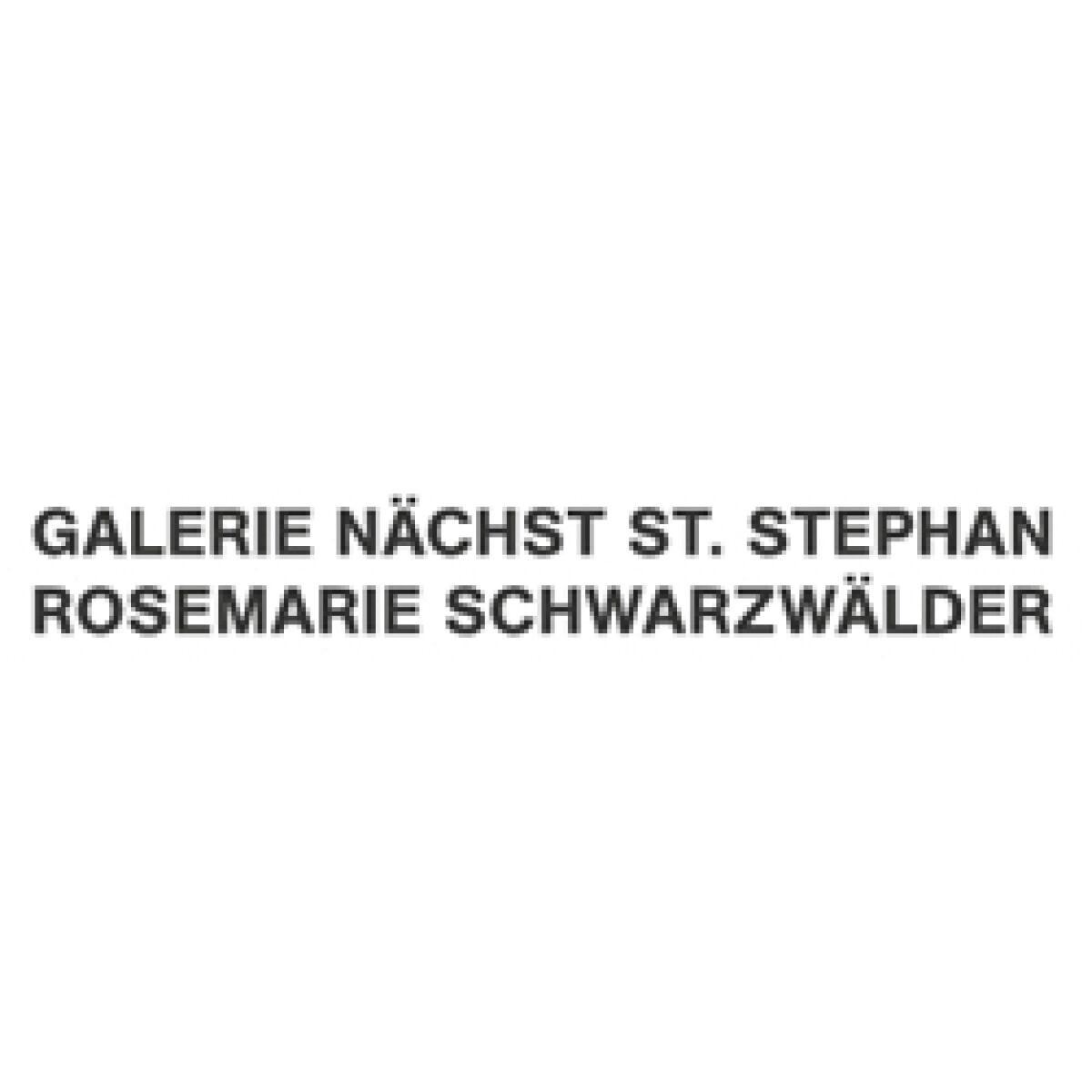 Galerie Nachst St. Stephan Rosemarie Schwarzwalder