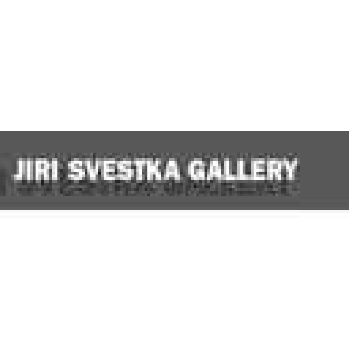 Jiri Svestka Gallery