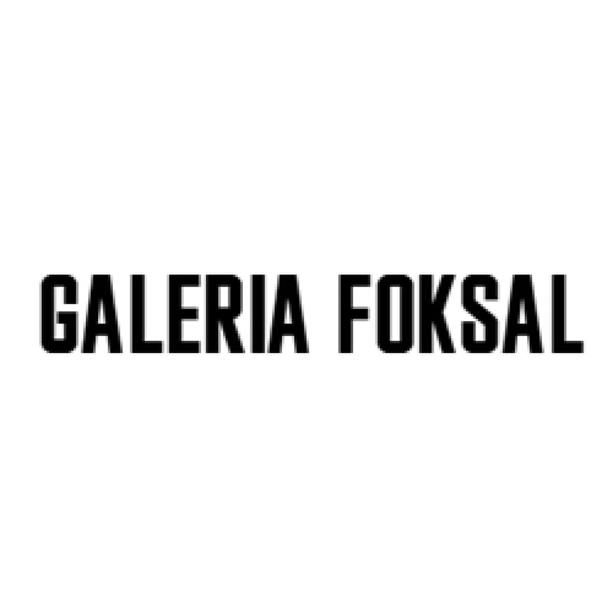 Galeria Foksal