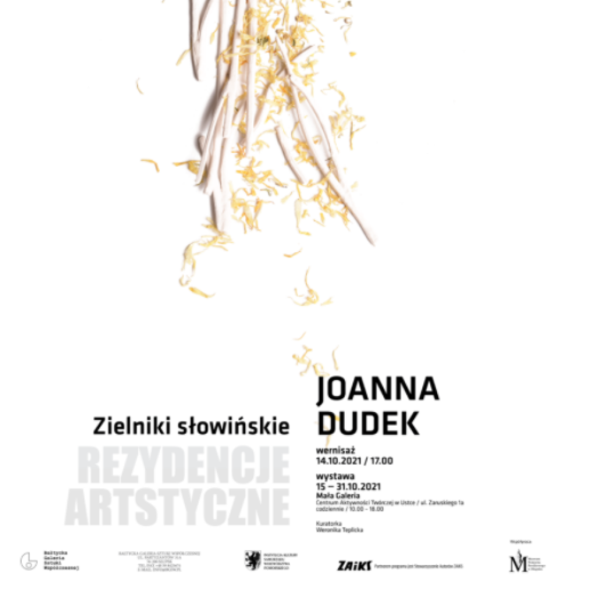 „Zielniki słowińskie” Joanny Dudek w ramach rezydencji artystycznej ‘Praktyki ekologiczne na polu artystycznych działań’