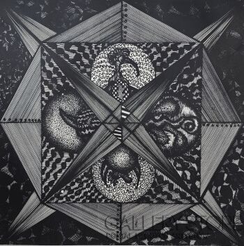 Amadeusz Popek-Gannets birds-Grafiki i plakaty