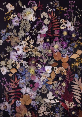 Anastasiya Kavaliova-Botaniczne poszukiwania-Giclee