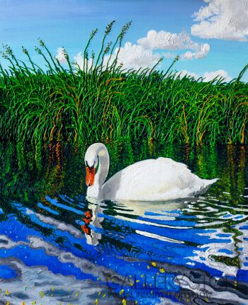 Angelika Mus-Nowak-Co będzie, gdy odlecą łabędzie?-Olej