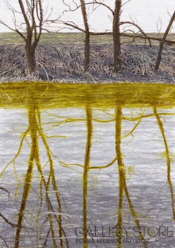 Angelika Mus-Nowak-Kółka na wodzie-Rysunek