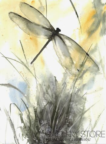 Anna Krzeszowiec-Pomiędzy światłem a cieniem-Malarstwo