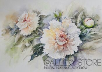 Barbara Trzeciak-Peonie-Akwarela