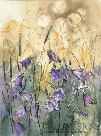 Campanula