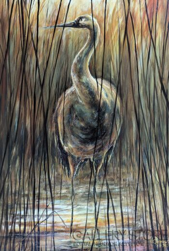 Dariusz Gumowski-Żuraw w swoim trzcinowisku-Malarstwo