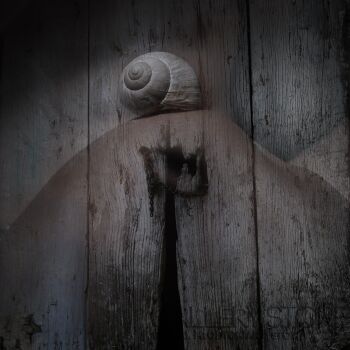 Dorota Zbroszko-inne 2-Fotografia