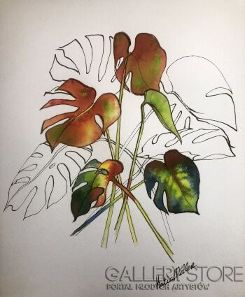 Katia Meller-Flora-Akwarela
