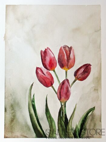 Tulipany 3