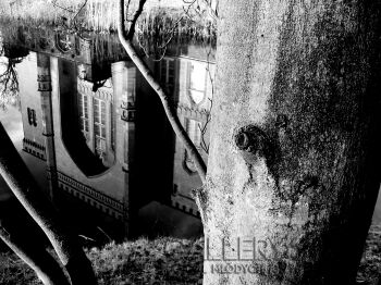 Raffaello Torres-Zamek Kornik-Fotografia