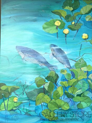 Sylwia Mirowska-Ryby -Malarstwo