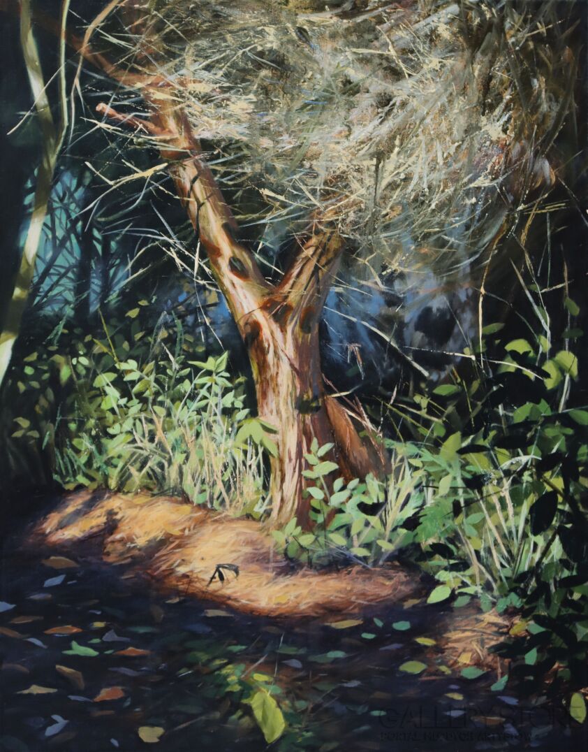 Aleksandra Jas-Wir-Olej