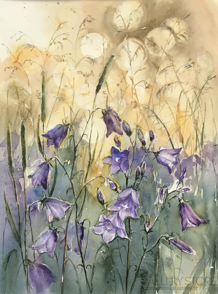 Bożenna Niewinowska-Campanula-Akwarela