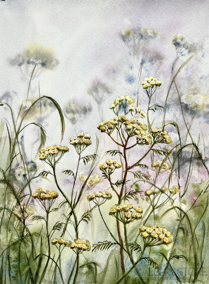 Bożenna Niewinowska-Wrotcz-Akwarela