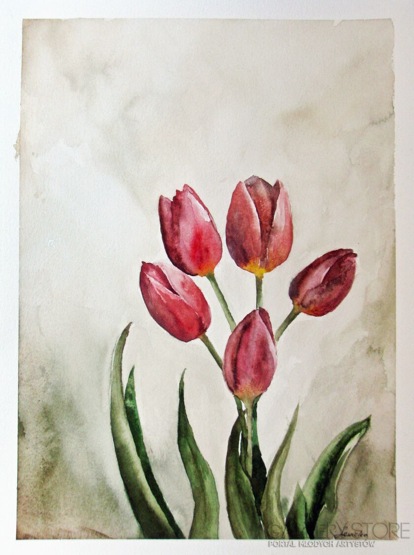 Maria Lewicka-Woźniak-Tulipany 3-Akwarela