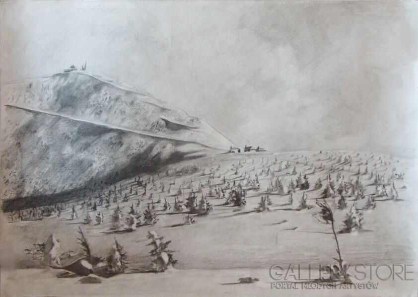 Piotr  Gola-Śniezka-Rysunek