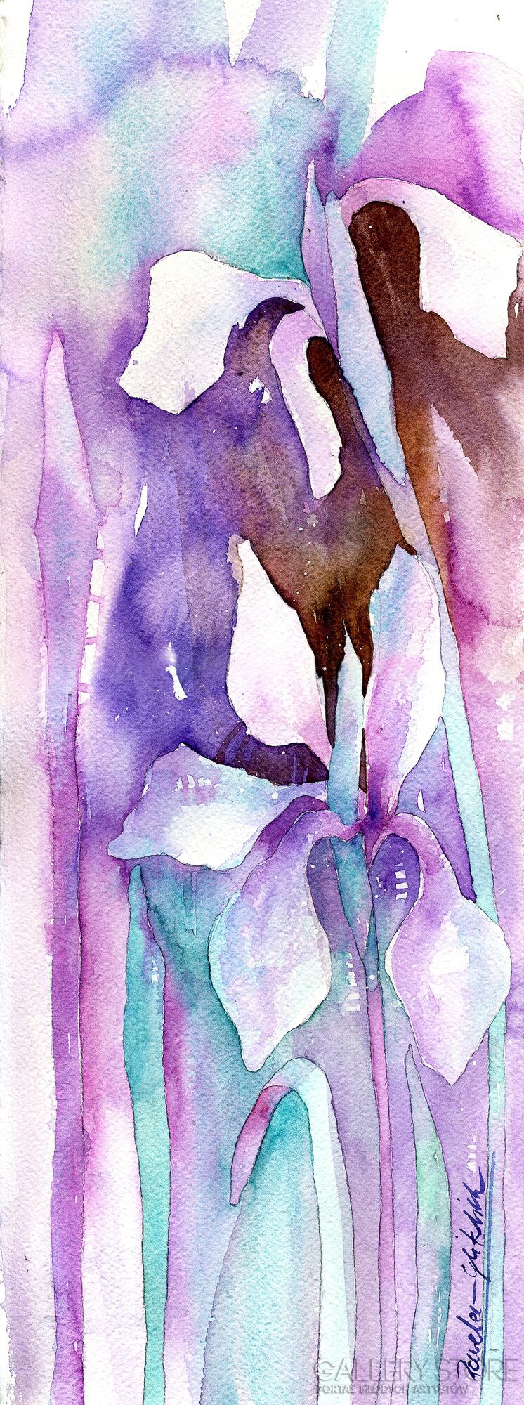 Klaudia Pawelec-Gliklich-Fioletowy Irys II -Akwarela