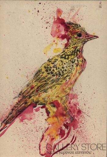 Bird