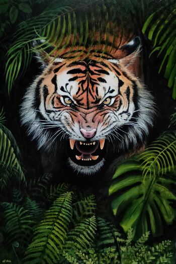 Adam Mądry-tygrys-Akryl