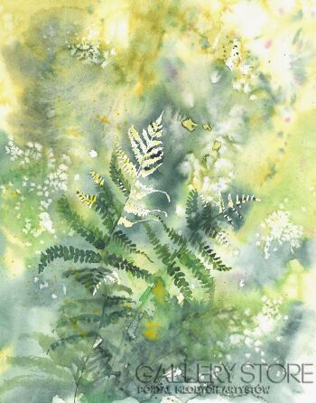 Agata Zięba-Warcholak-Paproć Ewy-Grafiki i plakaty