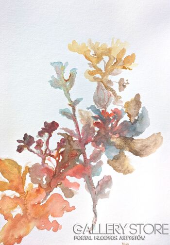 Aleksandra Kożuch-Sakura -Rysunek
