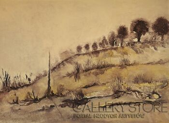 Alicja Wysocka-Natura w sepii-Malarstwo