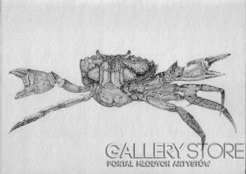Amelia Klębowska-Krab Dotwork-Rysunek