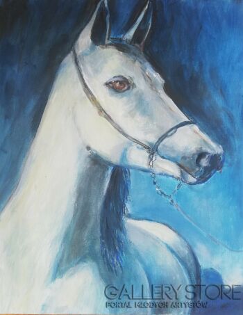 Bożena Hoffmann-Portret konia-Malarstwo