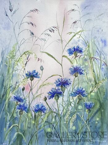 Bożenna Niewinowska-Poranek wśród chabrów -Malarstwo