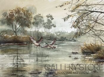 Bożenna Niewinowska-Poranne kaczki-Malarstwo