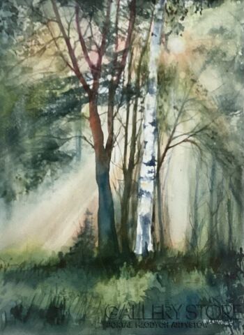 Bożenna Niewinowska-Słonecznie w lesie-Malarstwo
