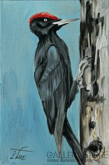 Dorota Łaz-Dzięcioł czarny-Malarstwo