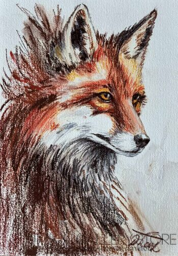 Dorota Łaz-Lisek-Rysunek