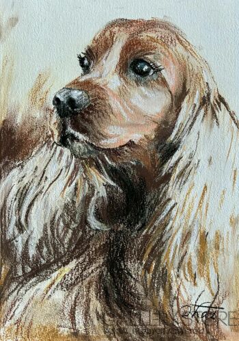 Dorota Łaz-Pies-Rysunek