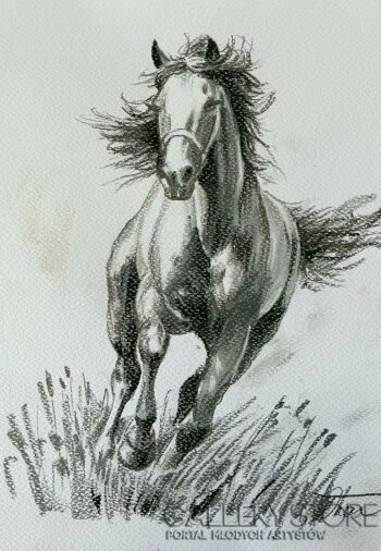 Dorota Łaz-W galopie - koń-Rysunek