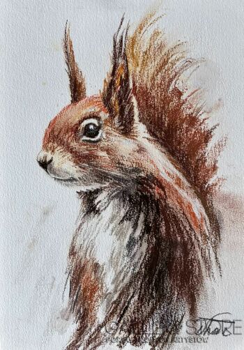 Dorota Łaz-Wiewiórka-Rysunek