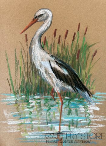 Dorota Łaz-Wiosna......-Rysunek