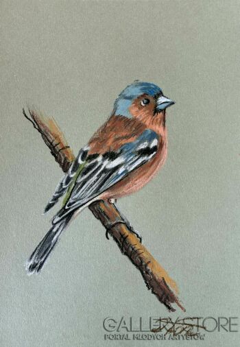 Dorota Łaz-Zięba-Rysunek