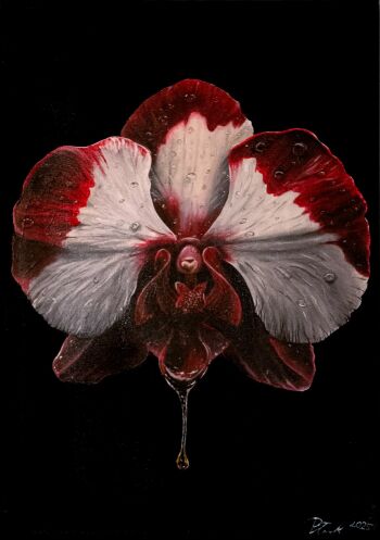 Gabriela Płuciennik-Orchidea-Malarstwo