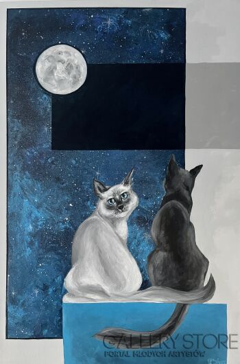Ciała niebieskie- kotki dwa