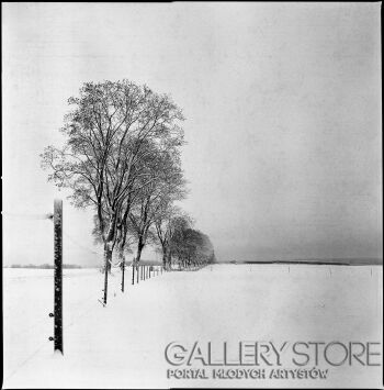 Jacek Gąsiorowski-Krajobraz Zimowy 2025 #2-Fotografia