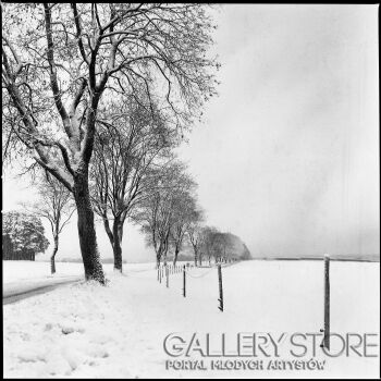 Jacek Gąsiorowski-Krajobraz Zimowy 2025 #1-Fotografia