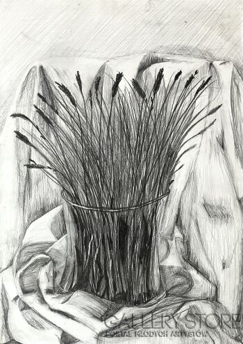 Julia Materzok-Lawenda-Rysunek